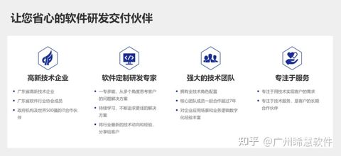 广州睎慧软件 软件定制开发公司怎么选